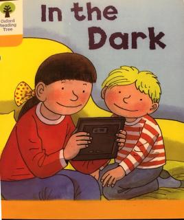 oxford reading tree 5-34 in the dark