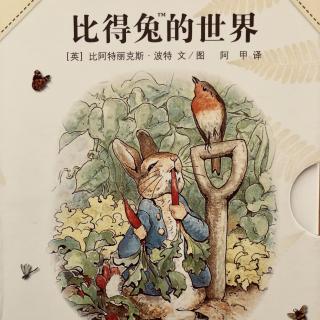 【毛毛阿姨的故事屋】比得兔的世界-比得兔的故事