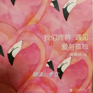 《我们终将遇见爱与孤独》2