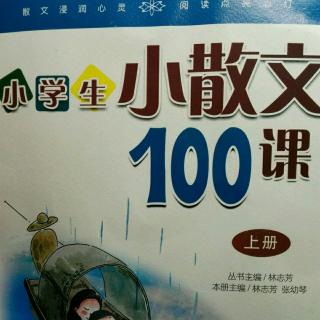 小学生小散文100课   T