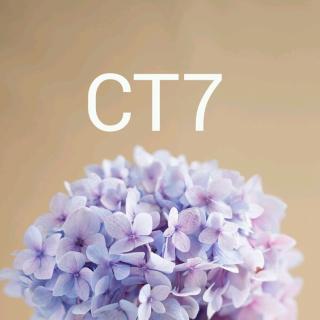 【香气与空间】CT7精油的神经毒性