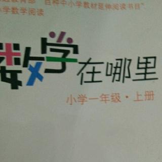 《数学在哪里》之“会恶作剧的火柴”