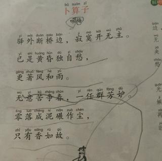 卜算子詠梅