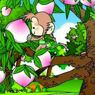 小猴子摘桃子