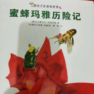 蜜蜂玛雅历险记