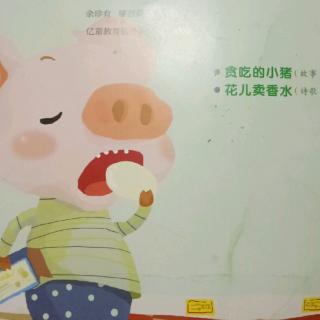 贪吃的小猪🐷