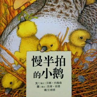 《慢半拍的小鹅》03