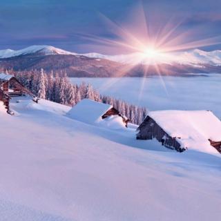 《阳光洒在雪地上》