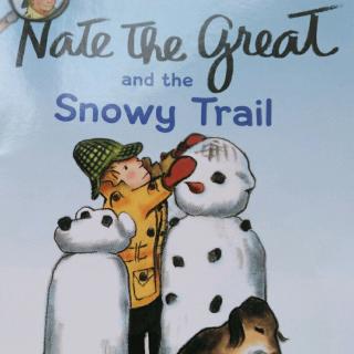 nate  snowy trail