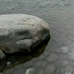 淡去浮华  禅意人生