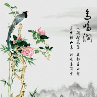 《鳥鳴澗》唐王維