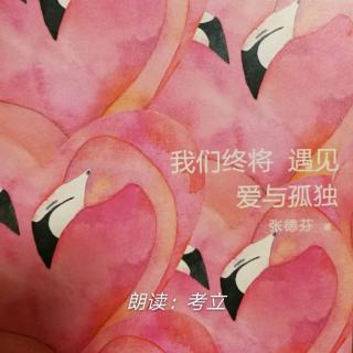 《我们终将遇见爱与孤独》4