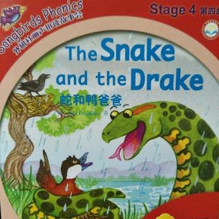 丽声拼读故事会——The Snake and the Drake