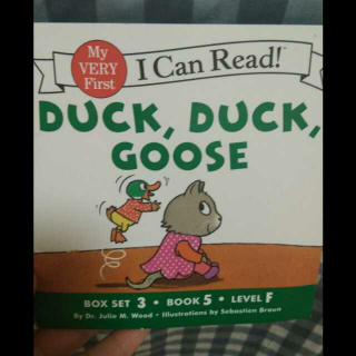 Duck,duck,goose