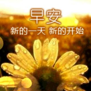 百草苑第三次作业 为何我早早醒来——2018.2.8读