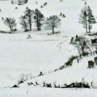 读一场雪