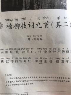 杨柳枝词拼音图片