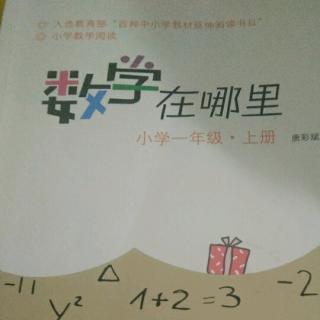 《数学在哪里》之“骰子的样子”