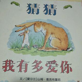 （小爱故事）《猜猜我有多爱你》