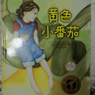 绘本《黄色小番茄》1