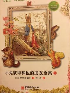 《小兔子的圣诞🎄晚会》