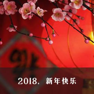 2018，新年快乐