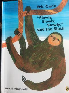 Slowly Slowly Slowly, Said the Sloth