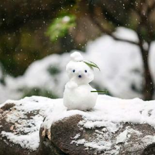 巧巧诵读美文《雪魂》