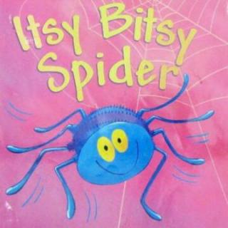 The Isty Bisty Spier英文童谣钢琴课