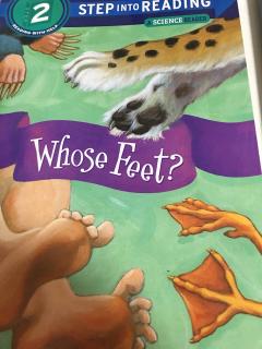 Whose Feet