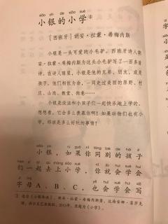 小银的小学