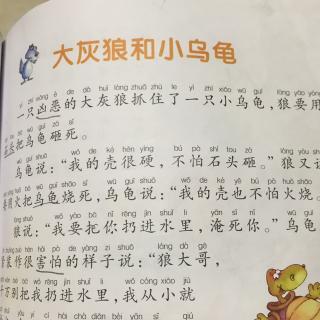 第16篇 大灰狼和小乌龟