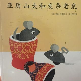 亚历山大和发条老鼠🐭