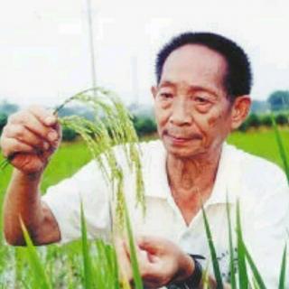 《人物颂歌》第六期：水稻之父袁隆平