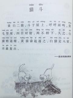 小古文--《猫斗》