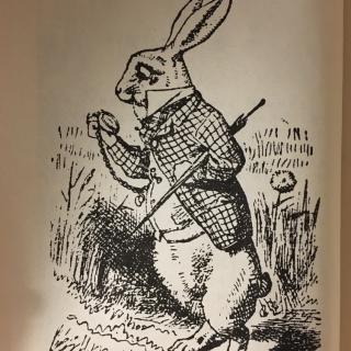艾丽丝漫游奇遇记-第1章：钻进兔子洞