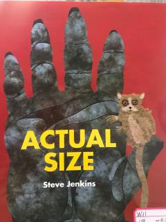 Actual Size