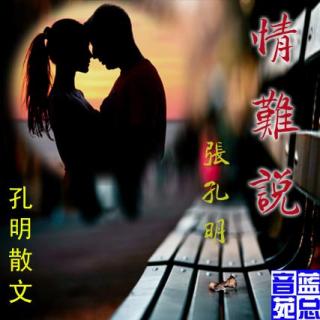 孔明散文《情难说》蓝总播音