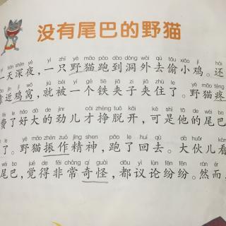 第18篇 没有尾巴的野猫