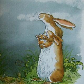 睡前故事《大兔子和小兔子》