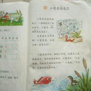 21 《小壁虎借尾巴》