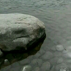 禅意人生