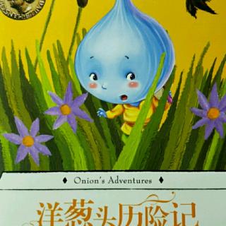 番茄骑士总穿袜子睡觉