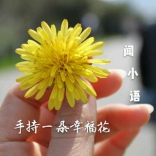 《手持一朵幸福花》——闻小语