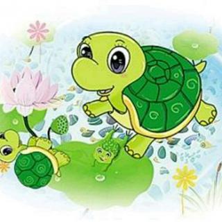 小博士幼儿园睡前故事第三十七期-《乌龟妈妈和小鳄鱼》