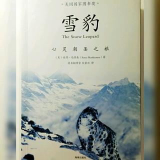 《雪豹》之水晶山：11月14日- 雪豹（3）了不起的动物