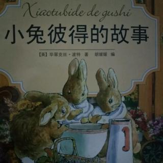 【故事分享269】《小兔彼得的故事》