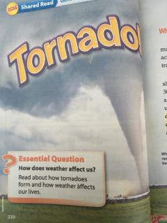 U3W4 Tornado！