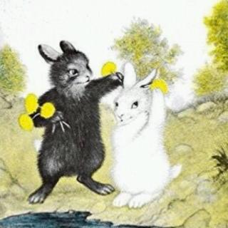 《黑兔和白兔》献给我未来的黑兔先生。