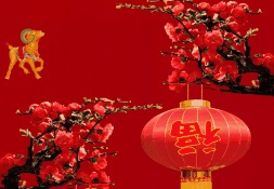 虎哥祝大家新年快乐